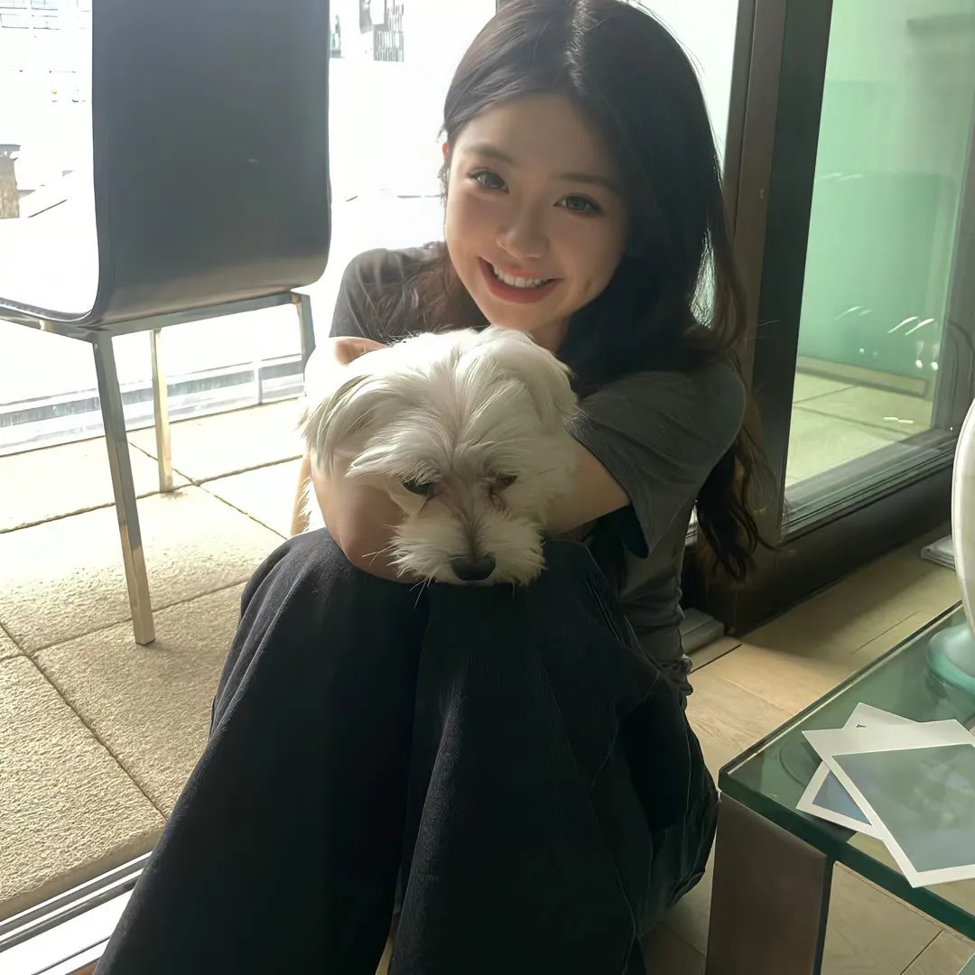 快乐寻回犬